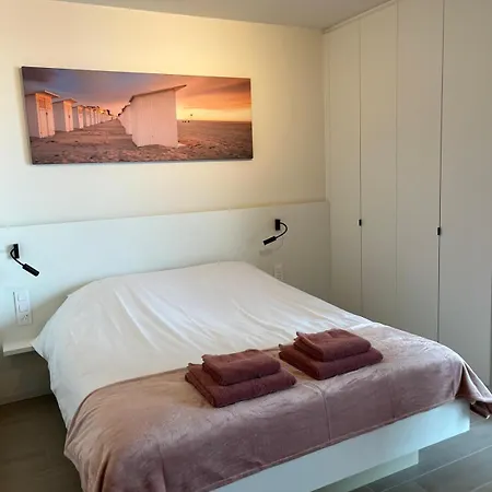 El Mirador - Quality